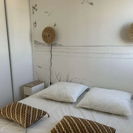 Apartment 2p Avec Terrasse, Animaux Acceptes, Parking, Climatisation - Fr-1-250-325