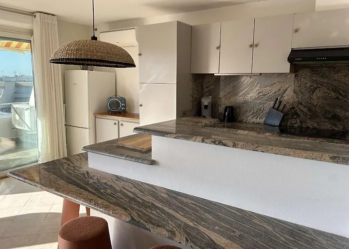 Apartament 2p Avec Terrasse, Animaux Acceptes, Parking, Climatisation - Fr-1-250-325