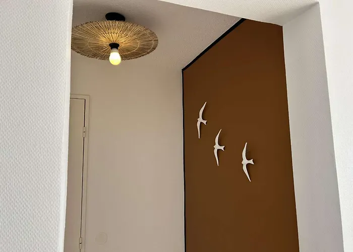 2p Avec Terrasse, Animaux Acceptes, Parking, Climatisation - Fr-1-250-325